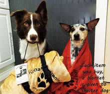 Kona Pet Blanket by Kona Benellie - BEIGE