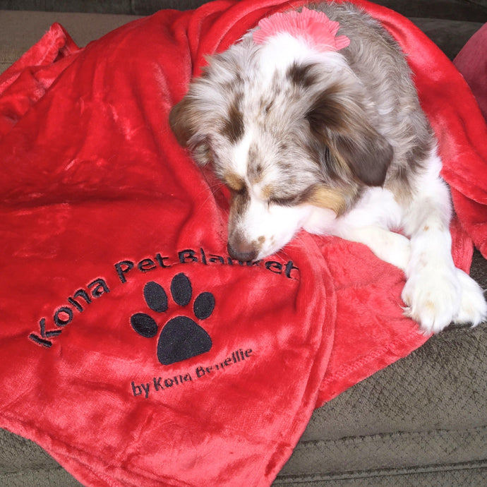 Kona Pet Blanket by Kona Benellie - RED