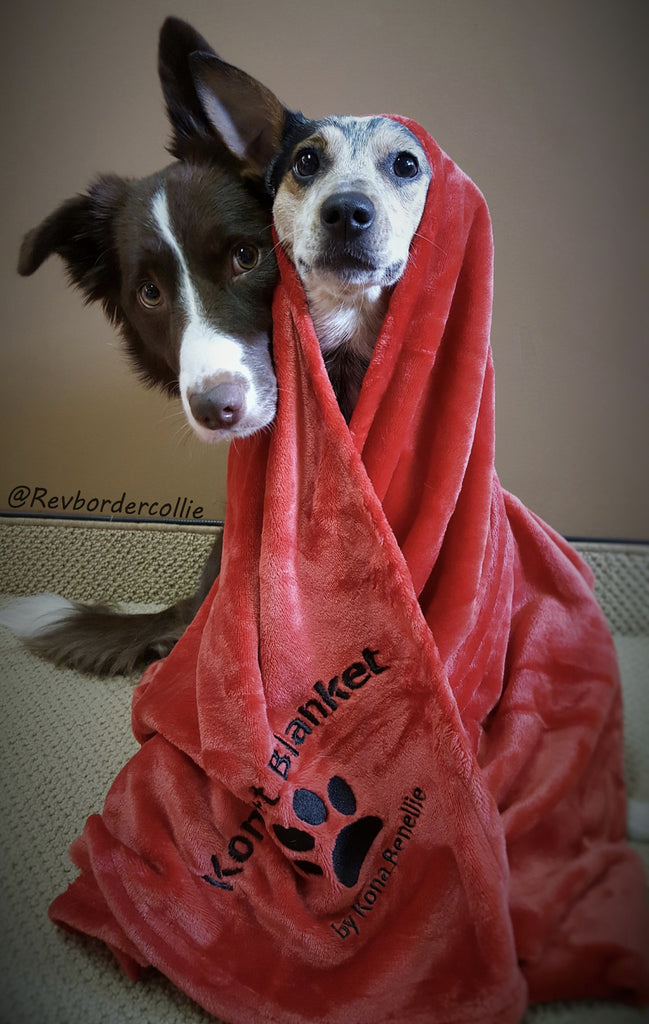Kona Pet Blanket by Kona Benellie RED