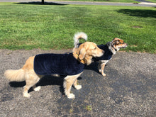 throwbee® Pet Poncho - Blue