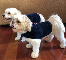 throwbee® Pet Poncho - Blue