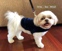 throwbee® Pet Poncho - Blue