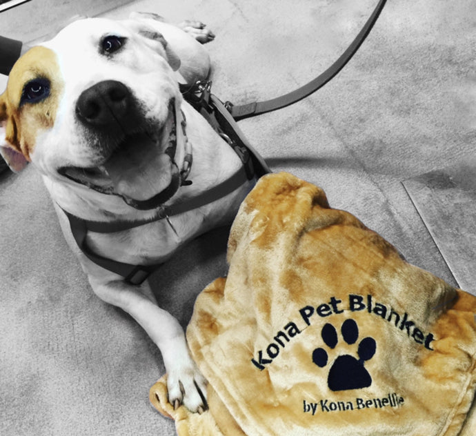 Kona Pet Blanket by Kona Benellie - BEIGE