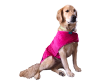 throwbee® Pet Poncho - Pink