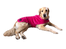 throwbee® Pet Poncho - Pink