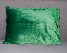 throwbee PILLOWCASE (Classic fitted) - Green