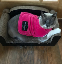 throwbee® Pet Poncho - Pink