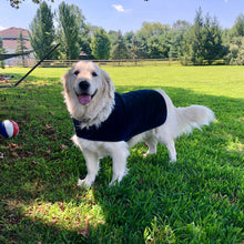 throwbee® Pet Poncho - Blue