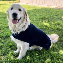 throwbee® Pet Poncho - Blue