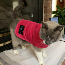 throwbee® Pet Poncho - Pink