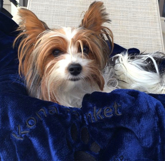 Kona Pet Blanket by Kona Benellie BLUE